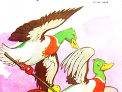کتاب لاک پشت بلند پرواز