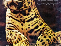 کتاب پلنگ
