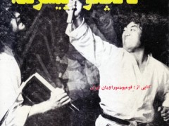 کتاب نانچکو پیشرفته