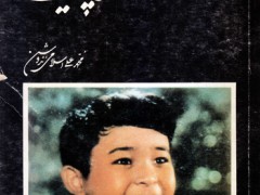 کتاب کارنامه سفر چین