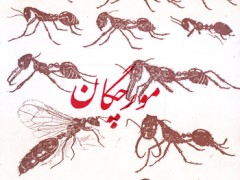 کتاب مورچگان