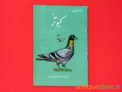 کتاب کبوتر