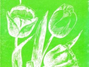 کتاب شهین و چند مقاله دیگر