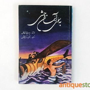 کتاب به سوی آسمان وحشی