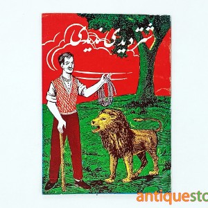 کتاب شتر دیدی ندیدی