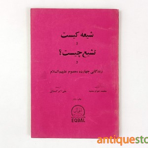 کتاب شیعه کیست و تشیع چیست