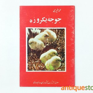 کتاب جوجه یکروزه