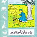 کتاب چوپان کوچولو