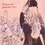 کتاب کلاغ سیاهه