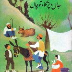 کتاب جدال در پرتگاه توچال