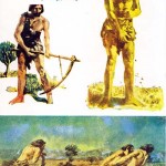 کتاب سیر تکامل فرهنگ