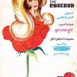 کتاب غنچه گل سرخ ، زیبای خفته
