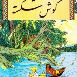 کتاب گوش شکسته