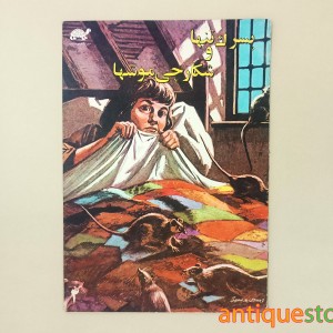 کتاب پسرک تنها و شکارچی موشها
