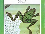 کتاب قورباغه