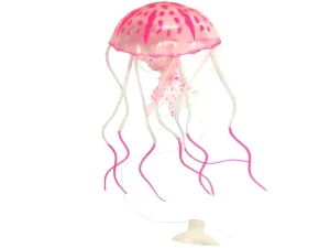 عروس دریایی مدل Fluorescent سایز کوچک