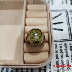 انگشتر طلاروس مردانه نگیندار کد ANG191376W