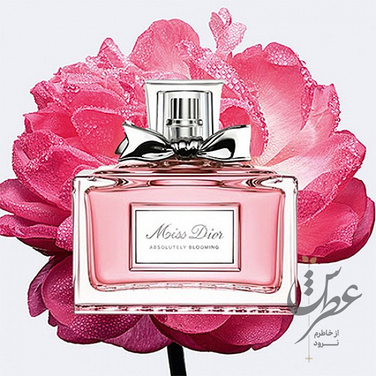 عطر میس دیور ابسولوتلی بلومینگ