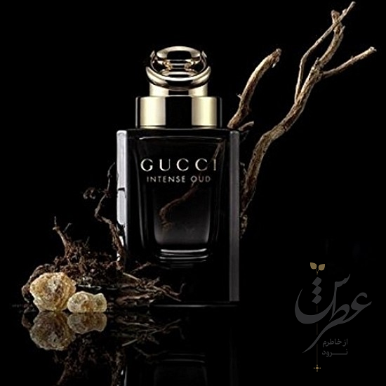 عطر گوچی اینتنس عود