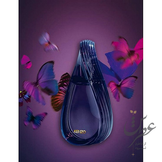 عطر کنزو مدلی عود کالکشن