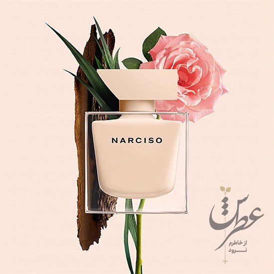 عطر نارسیسو رودریگز نارسیسو پودری