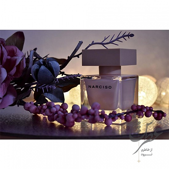عطر نارسیسو رودریگز نارسیسو پودری