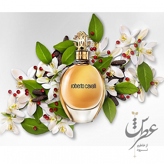 عطر روبرتو کاوالی ادو پرفیوم