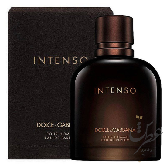 عطر دلچه گابانا اینتنسو