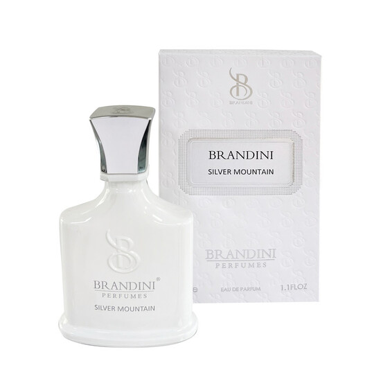 عطر جیبی  برندینی مدل Silver Mount ain