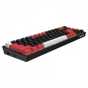 کیبورد گیمینگ ردراگون مدل Redragon Castor K631 Pro