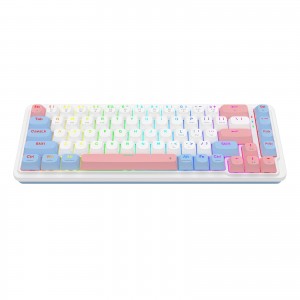 کیبورد گیمینگ بی سیم ردراگون مدل Redragon K709 WBP Nova Pro