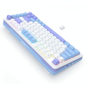 کیبورد گیمینگ بی سیم ردراگون مدل Redragon K681 WBP Cyrus Pro
