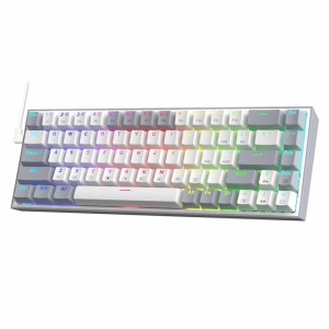کیبورد گیمینگ ردراگون مدل Redragon K631 WG Castor
