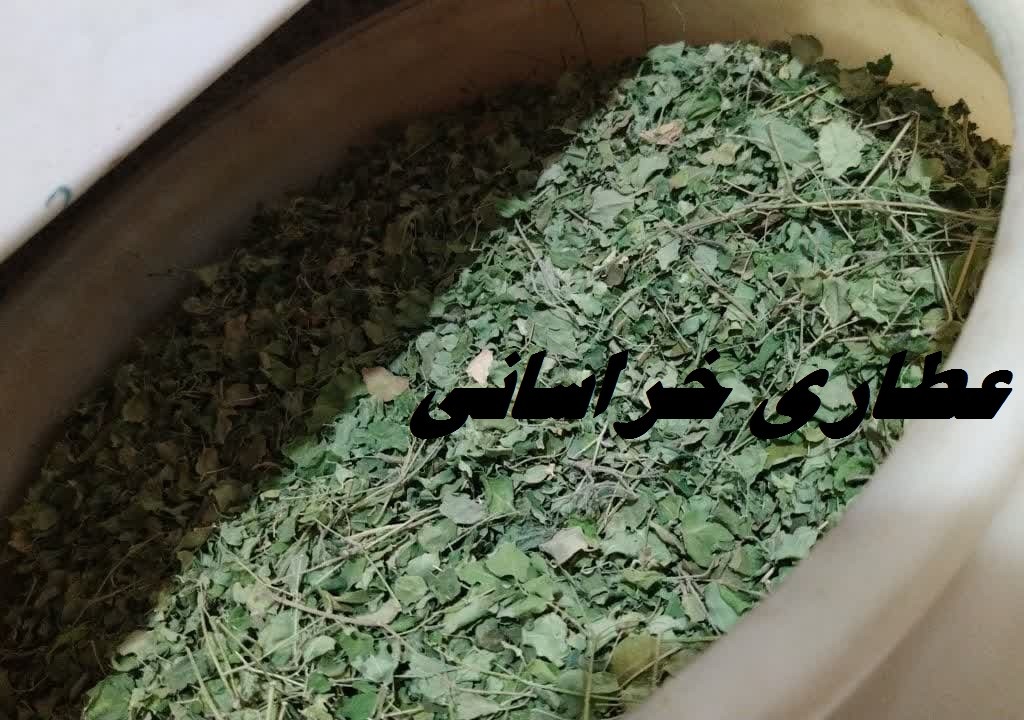 برگ مورینگا هندی