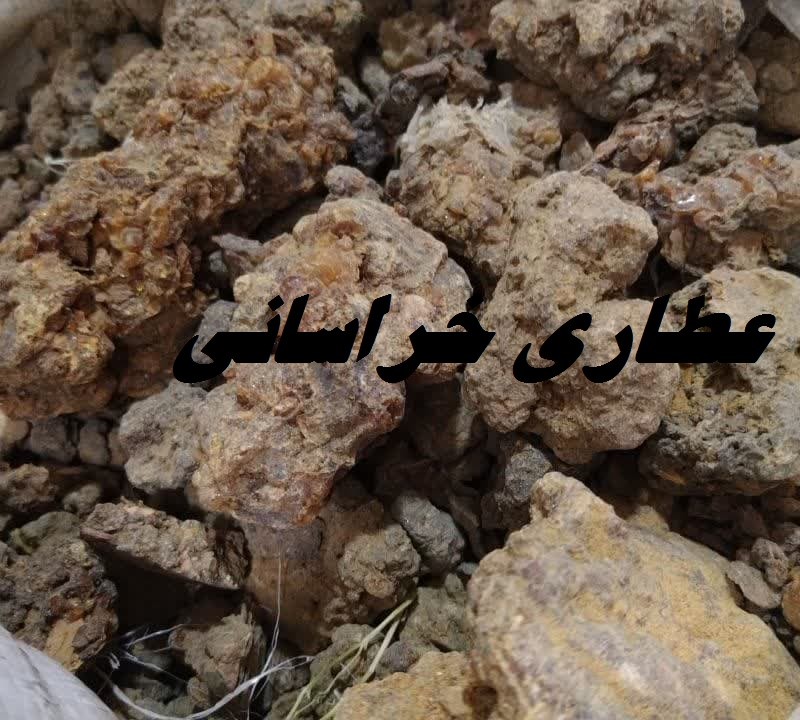 مرمکی درشت سودانی