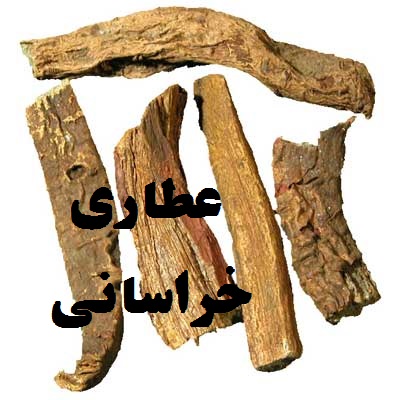 خرید ریشه ریوند چینی