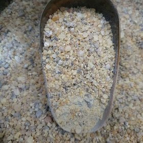 مصطکی هندی اصلی طبیعی