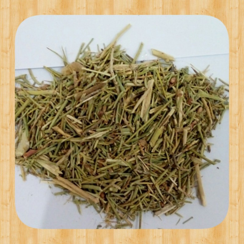 خارشتری بیابانی کاملا خشک بدون سنگ و خاک