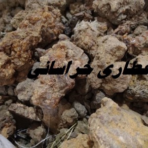 مرمکی درشت سودانی