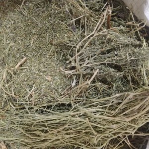 شاهتره خشک