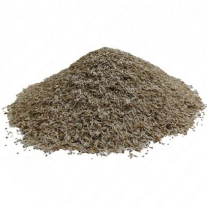 خرید بذر کاهو کاشتنی و خوراکی
