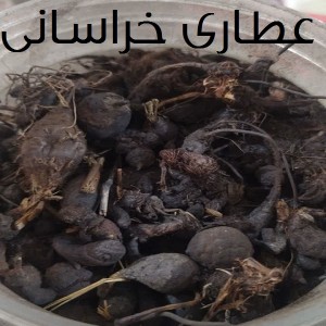 سعد کوفی اصل نسابیده