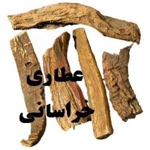 خرید ریشه ریوند چینی