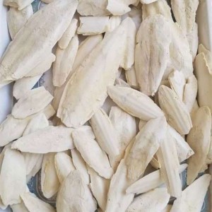 کف دریا درشت نسابیده