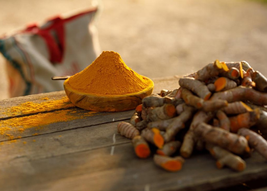 فروش زردچوبه قلم در سمنان | خرده و عمده