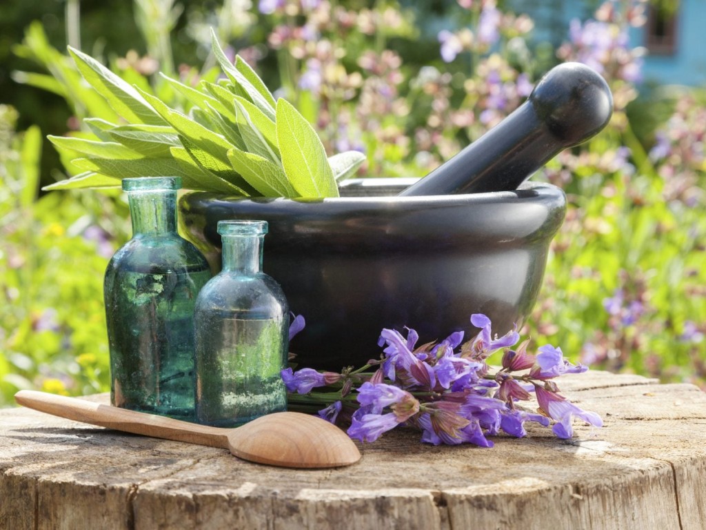 گیاهان دارویی عمده
