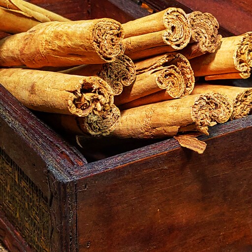 دارچین سیگاری چیست و چه کاربردی دارد