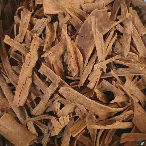 پوست درخت میخک (قرفه القرنفل)