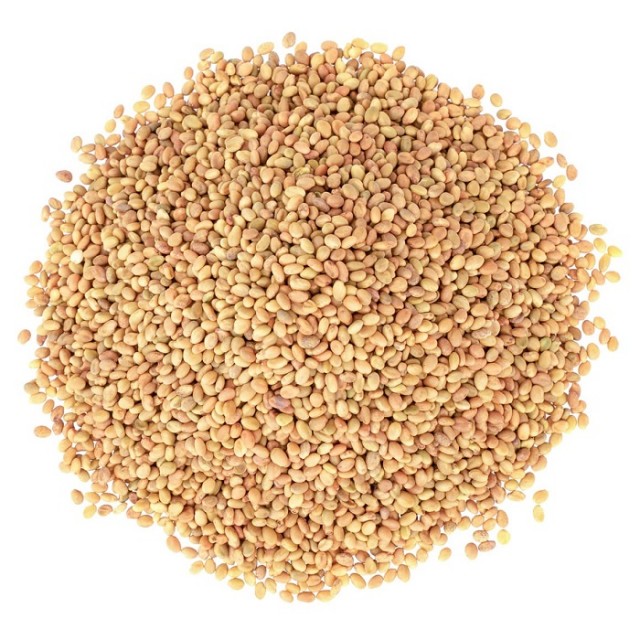 دانه یا تخم (بذر) شبدر
