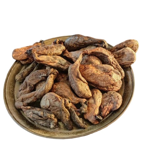 جند بیدستر